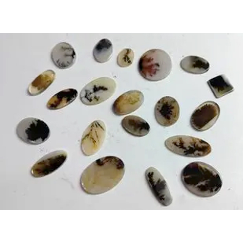 Dandrite Agate Gemstone