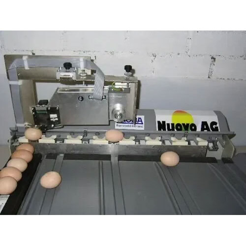 Egg Processor Machine