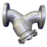 Stainless Steel Slstr-25 200nb Cast Iron Strainer