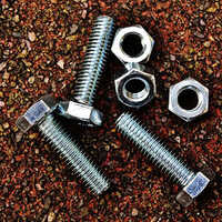 Stainless Steel Nut