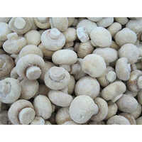 Frozen Button Mushroom - Chopped Form, 12 Months Shelf Life | No Additives, Freeze-dried For Natural Flavor And Nutritional Value