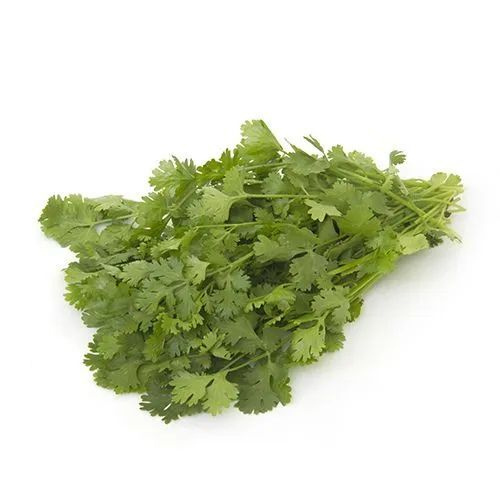 Frozen Coriander Leaves