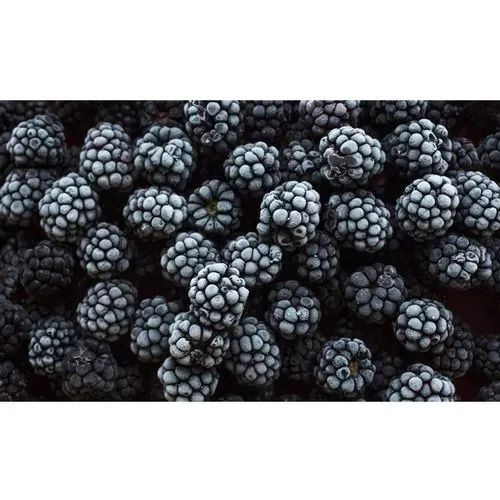 Frozen Blackberry