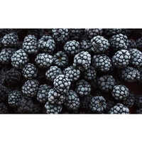 Frozen Blackberry - Additives: No