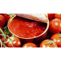Canned Tomato Puree - Flavor: No