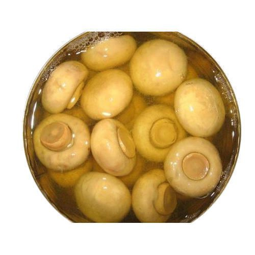 Canned Whole Button Mushroom