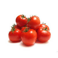 Fresh Tomato - Round Shape, 0% Moisture | 12-Month Shelf Life, Raw Style, No Preserving Compounds for Natural Culinary Use