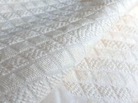 Buy Designer Schiffli Embroidery fabric