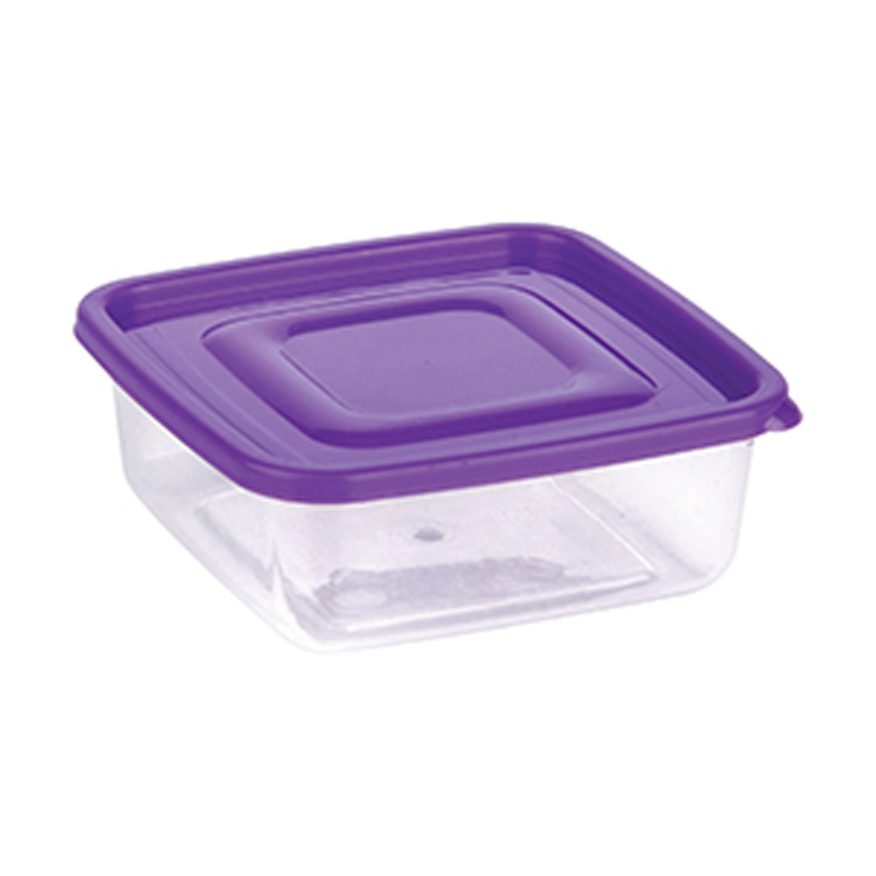 Delight Container Plain and Printed