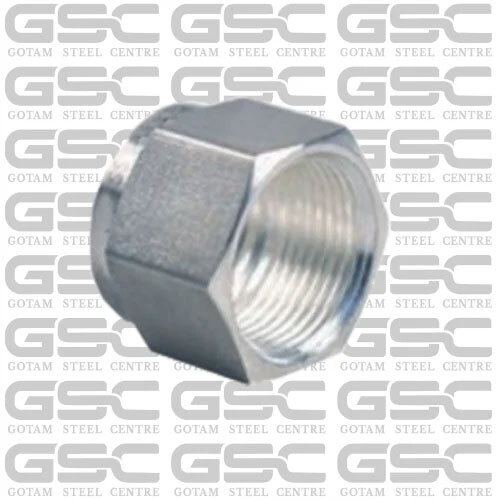 Stainless Steel Double Ferrule Hex Nut