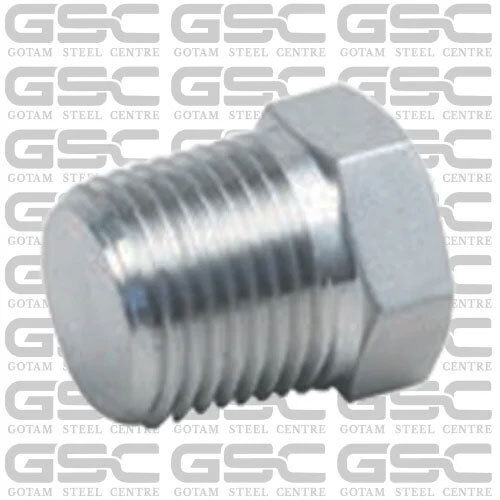 Stainless Steel Plug