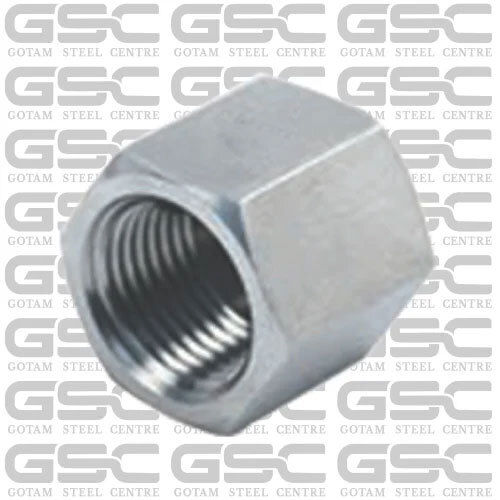 Stainless Steel Threaded Pipe Cap