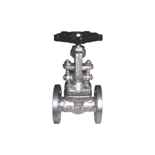 Double Flanged Forged Steel Valves