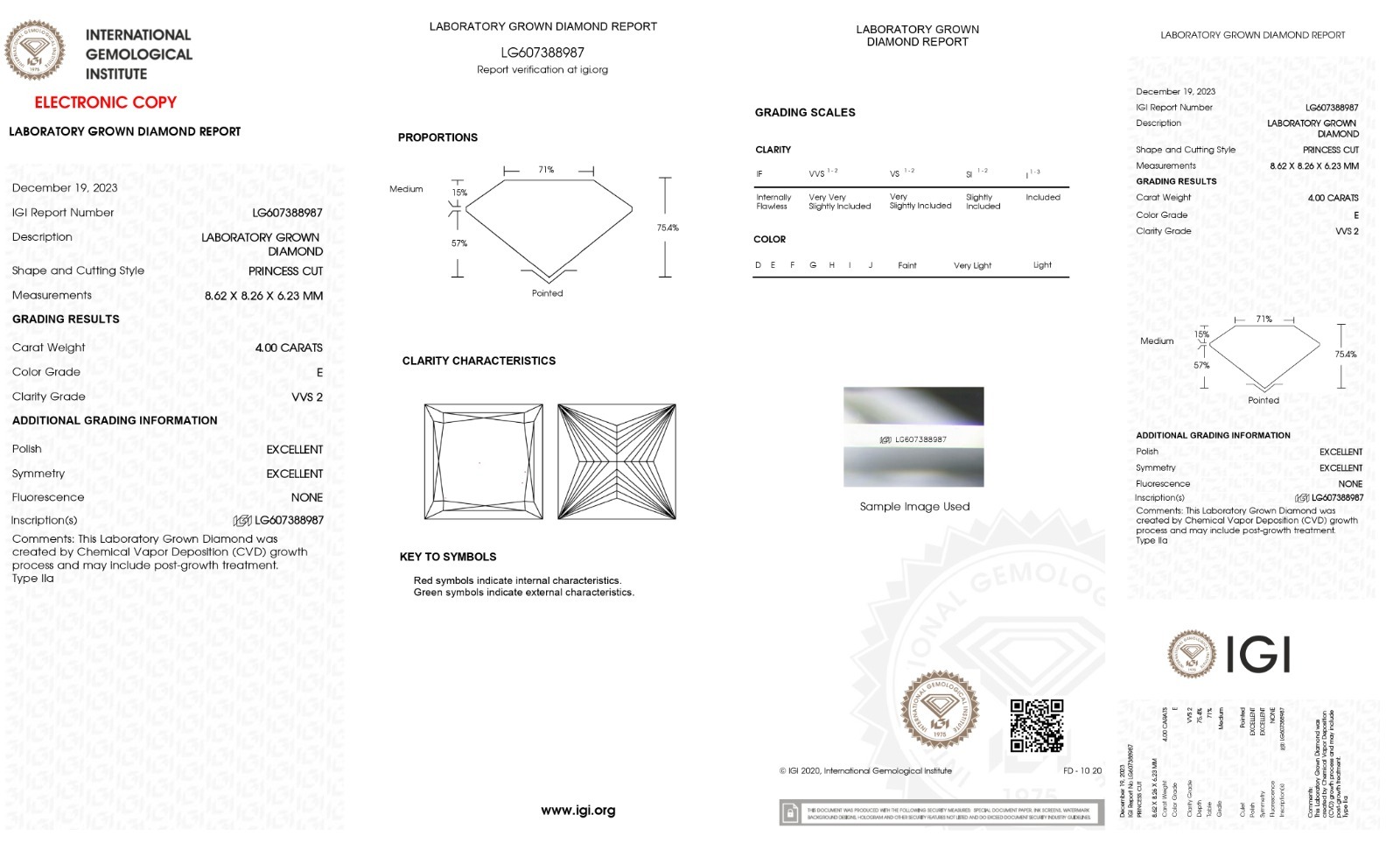 PRINCESS 4ct E VVS2 IGI 607388987 Lab Grown Diamond DD645-2