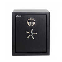 Electronic Safe