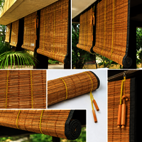 Outdoor pvc Chick Blind