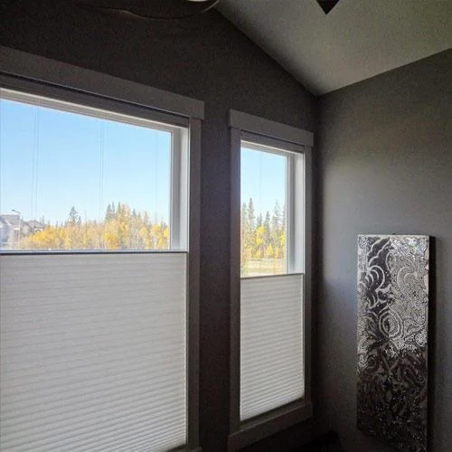 Motorized Duette Blinds