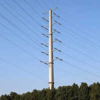 Steel Tubular Pole - Color: As Per Requirement