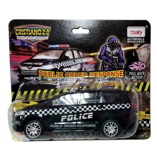 CENTY PUBLIC ORDER RESPONSE