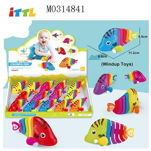 COLOURFULL FISH