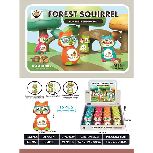 SQUIRREL FOREST BOX(VIDEO)
