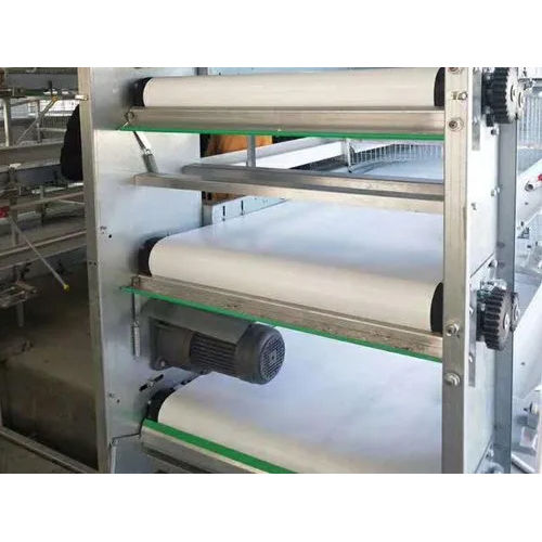 PP Conveyor Belt