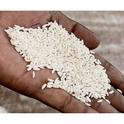 Common Rice Kernels