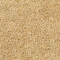 Jawar Seeds