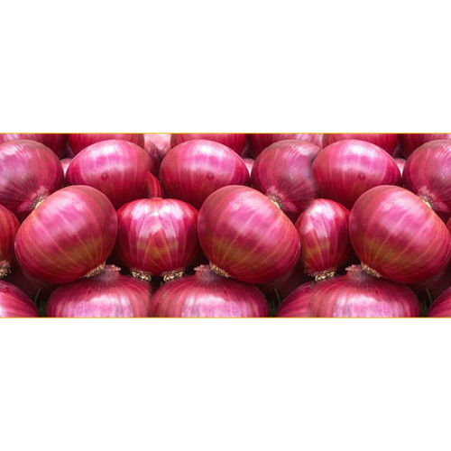 Red Onion Moisture (%): Nil