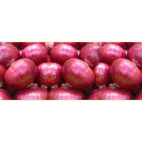 Red Onion