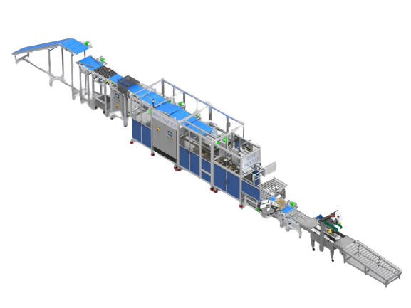 Case Packer Machine