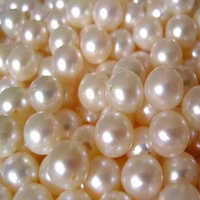 6mm Golden Moti - Seawater Pearl, 5mm-8mm Sizes, White Color | Natural Round Shape, Elegant Gold Finding