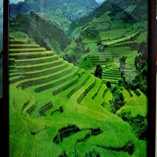 Shubh Sanket Vastu Green Frame Landscapes (16.5 x 20.5 inch)