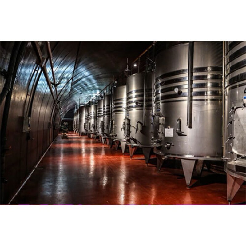 Brewery and Malt spirit plants