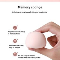 FACE WASH SPONGE 12655