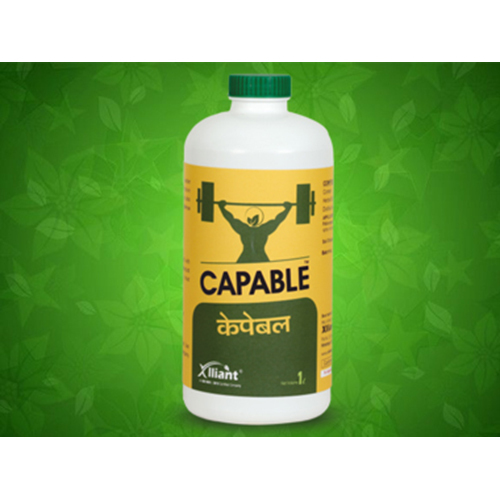 CAPABLE Extract