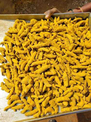 Turmeric Finger