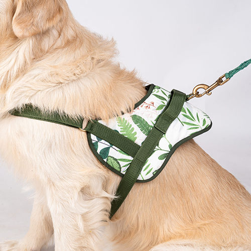 Foliage Print Small Dog Harness - Color: Different Available