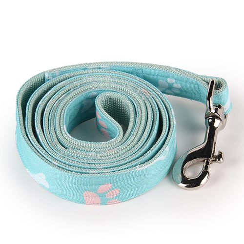 Paw And Bone Pet Leash