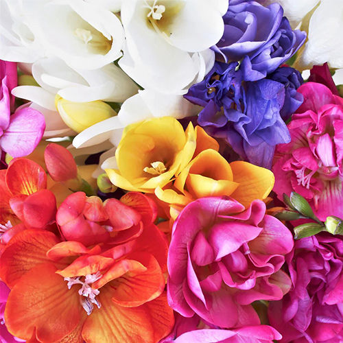 Fragrant And Colorful Freesia Flower Bulbs