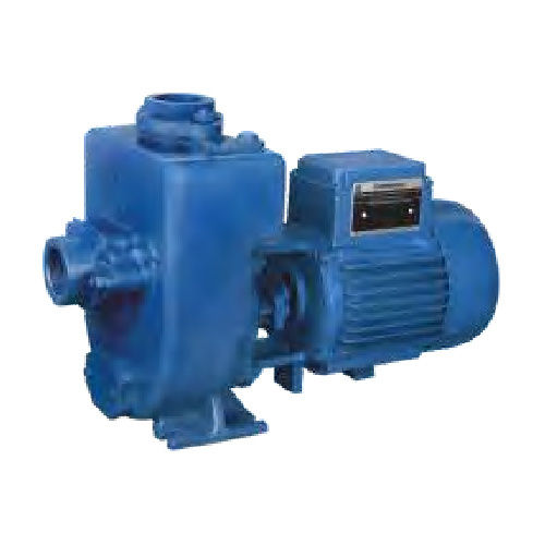 Dewatering Monobloc Pump