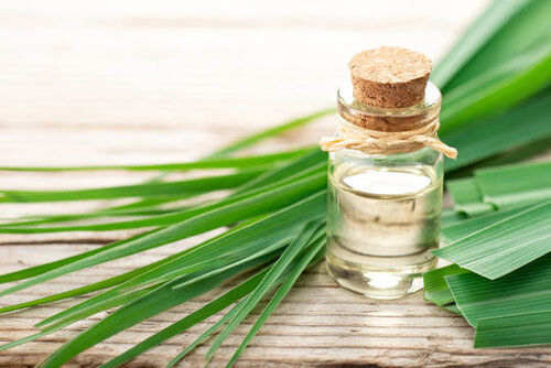 Lemongrass Oil