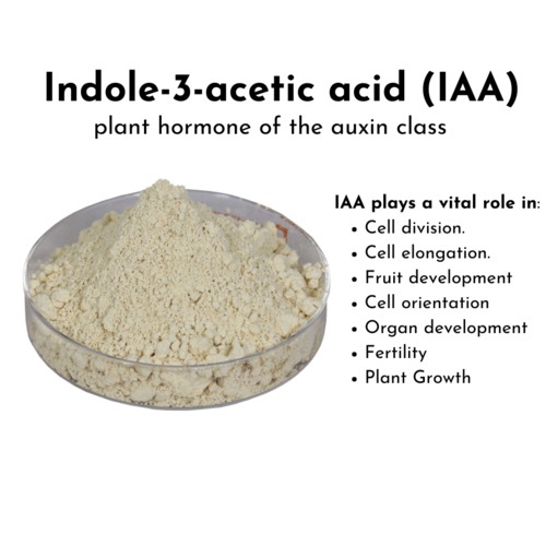 Indole-3-Acetic Acid - Application: Plant Growth