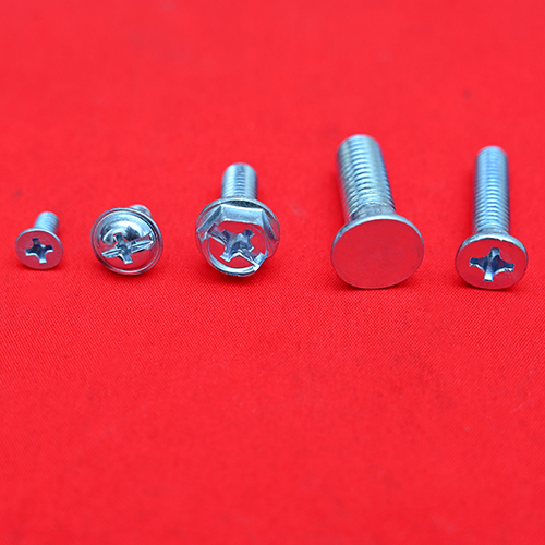 Special Purpose Screws