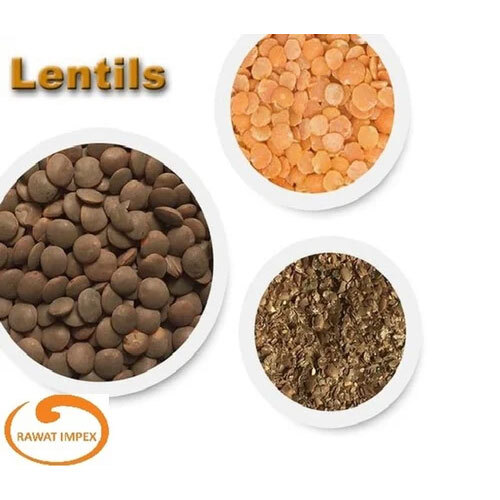 Lentil Processing Machine