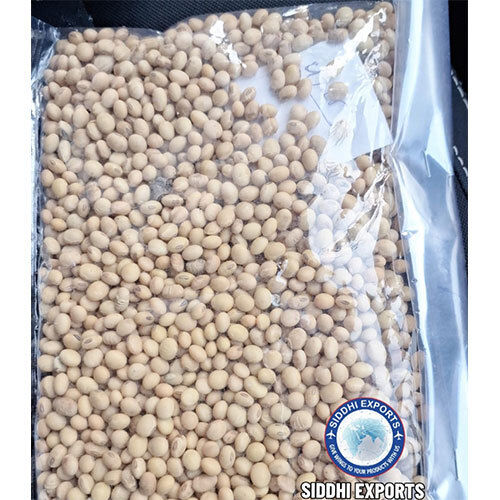 Common Soya Bean