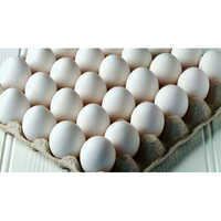 Fresh White Eggs