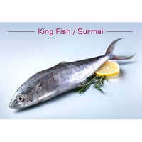 Surmai King Fish