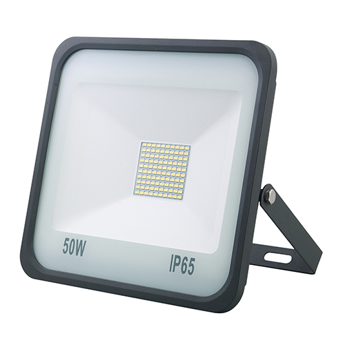 50W Flood Light