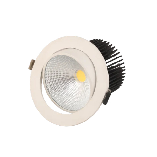 30W COB LED Down Light